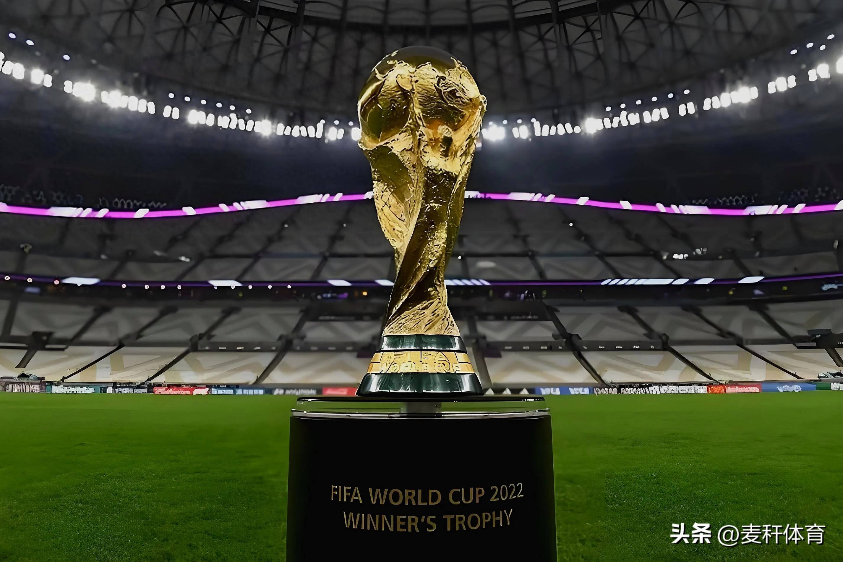 加自信和从 加自信和从