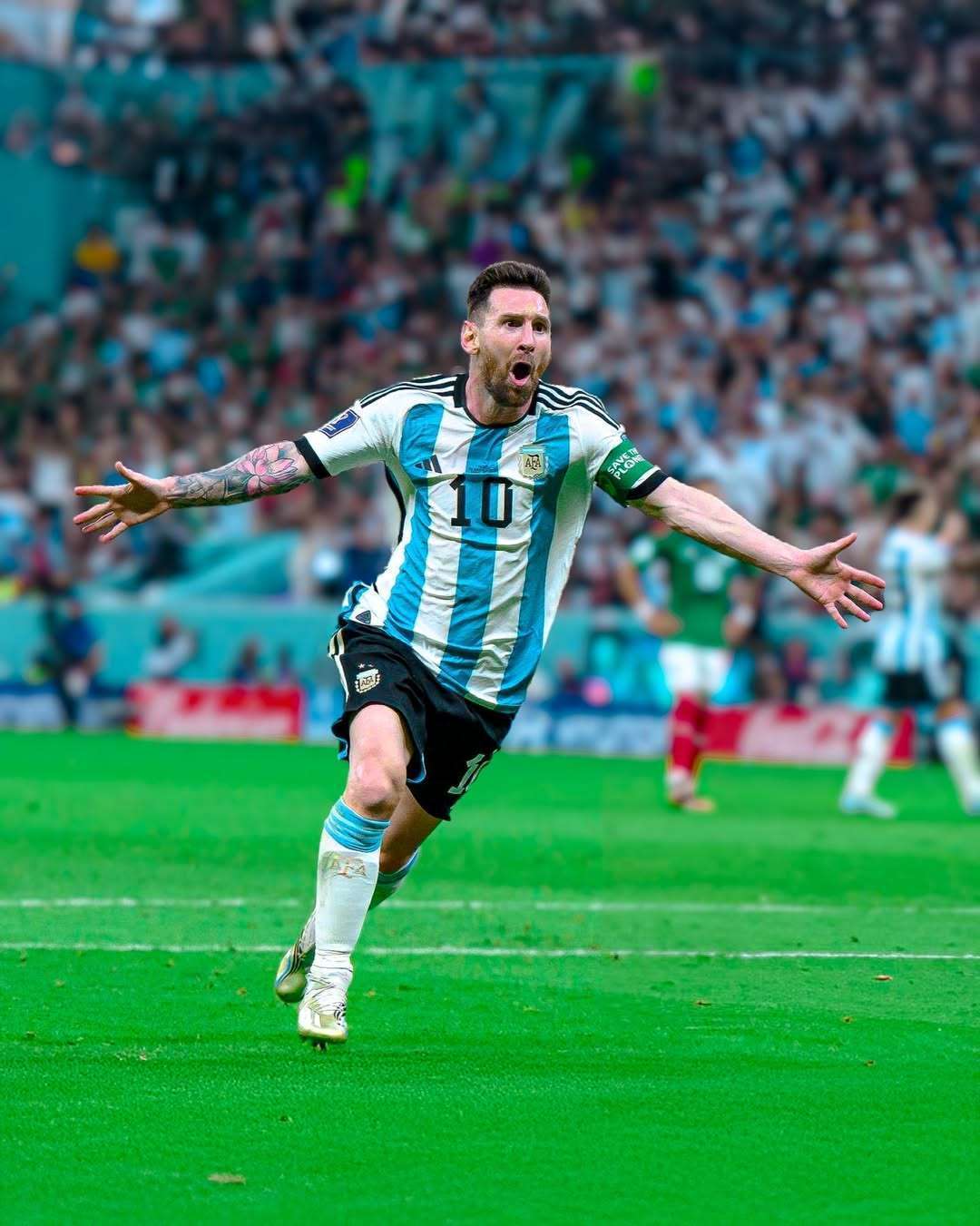 引起了巨大 引起了巨大