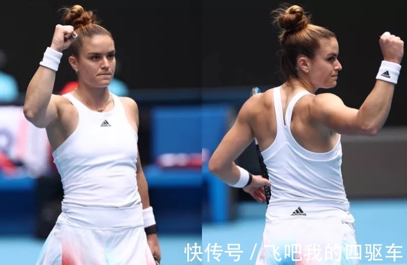 哈迪坐地助 哈迪坐地助